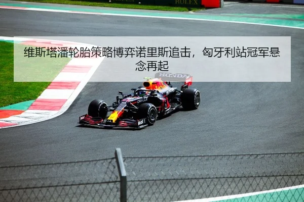 维斯塔潘轮胎策略博弈诺里斯追击，匈牙利站冠军悬念再起