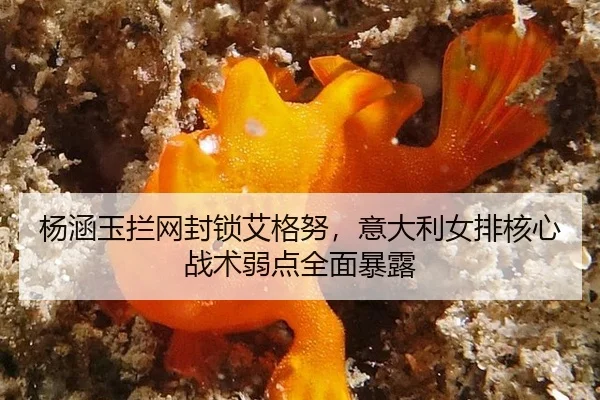 yang-han-yu-lan-wang-feng-suo-ai-ge-nu-yi-da-li-nv-pai-he-xin-zhan-shu-ruo-dian-quan-mian-bao-lu-2-659.jpg